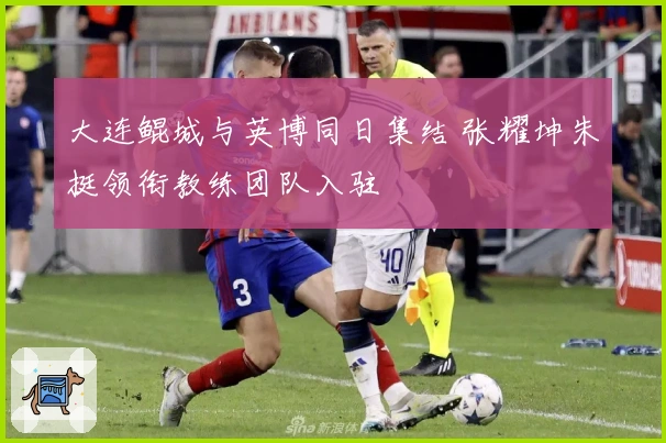 大连鲲城与英博同日集结 张耀坤朱挺领衔教练团队入驻