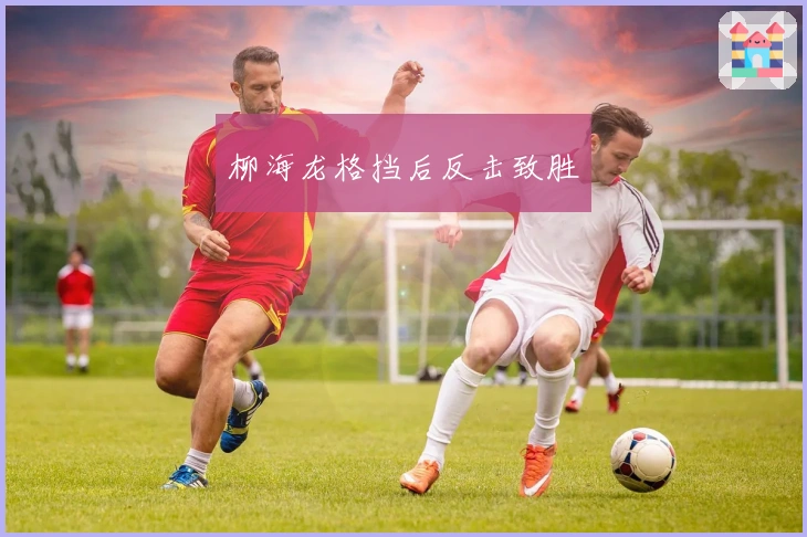 柳海龙格挡后反击致胜