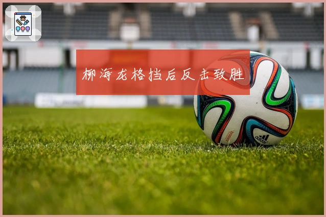 柳海龙格挡后反击致胜